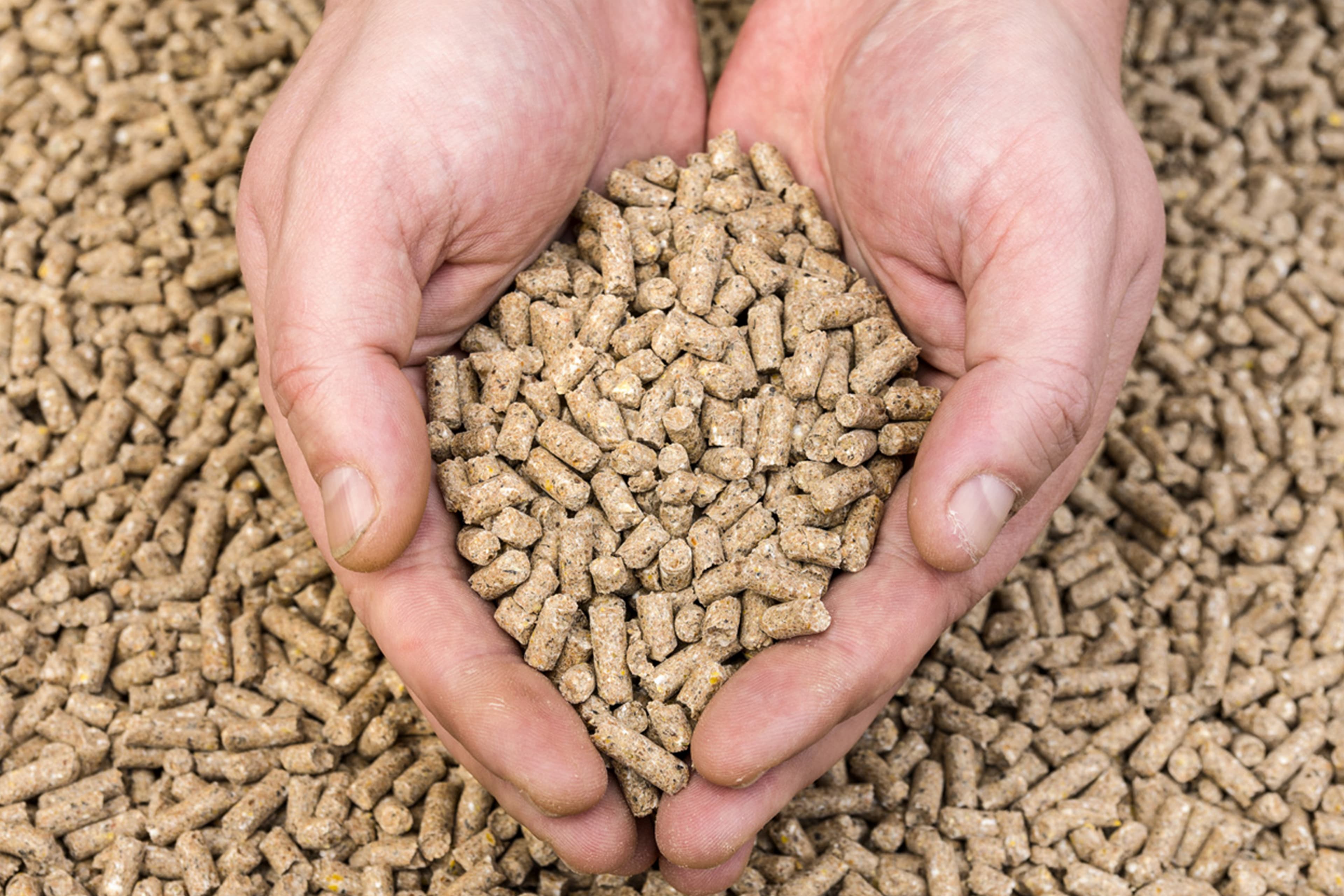 Limestone for poultry feed production