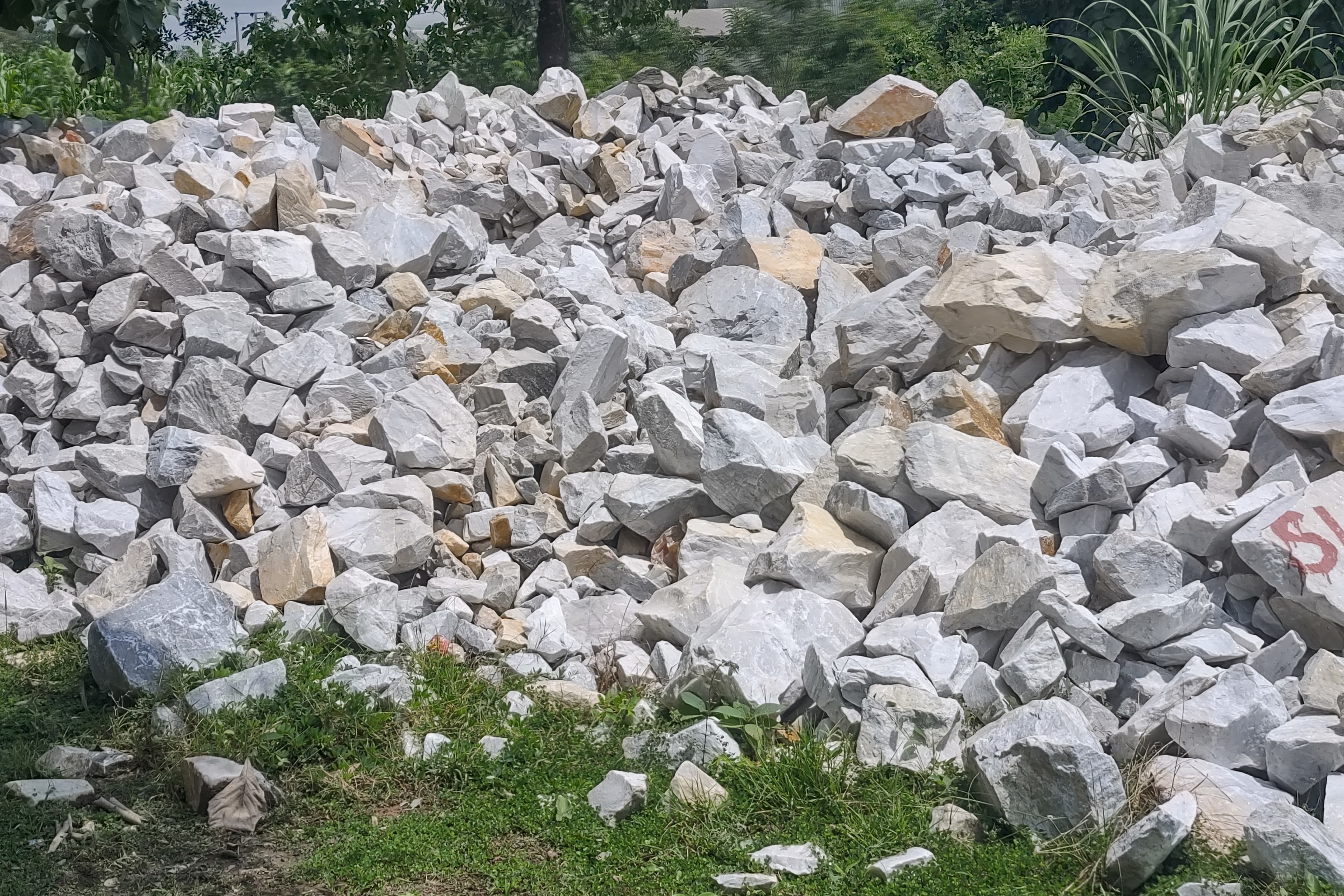 Limestone sample 1